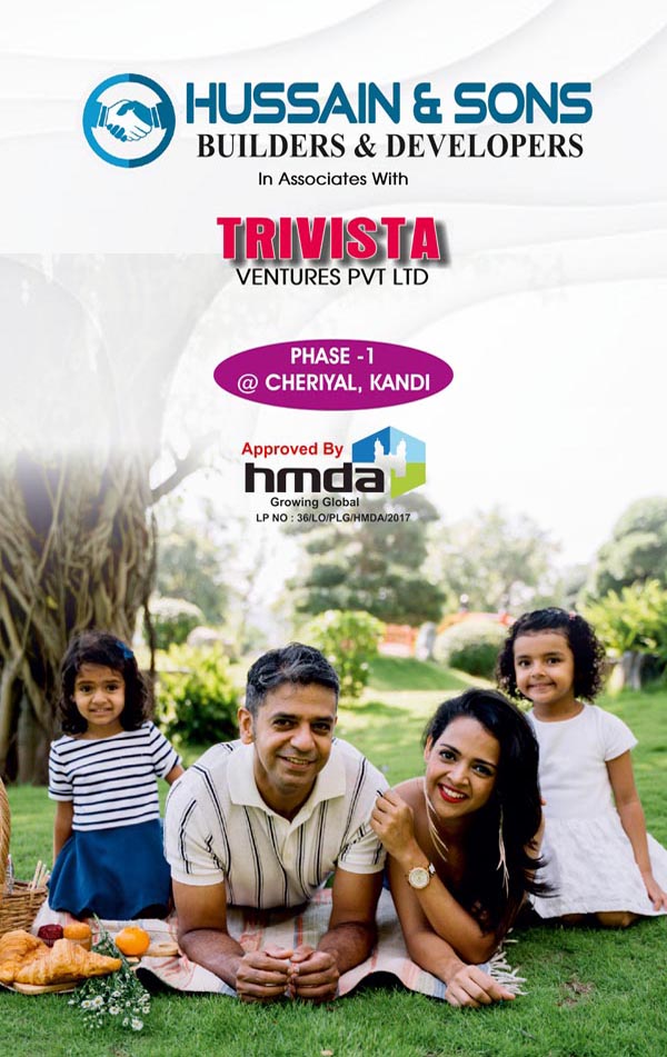 Trivista Phase 1