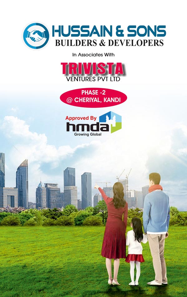Trivista Phase 2
